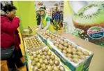  ??  ?? Zespri expects China to overtake Japan as its largest market by volume this season.