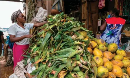  ??  ?? ‘We’ve translated Covid guidelines into local languages so they’re accessible to women workingin outdoor markets and to female roadside vendors.’ Market in Yaoundé, Cameroon, April 2020. Photograph: AFP via Getty Images