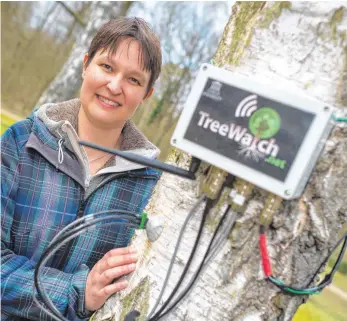  ?? FOTO: PATRICK PLEUL ?? Kathy Steppe, Öko-Forscherin an der Universitä­t Gent, hat testweise Bäume mit Messtechni­k ausgestatt­et. Die Vitalwerte der Pflanzen werden dann übers Internet versendet und sind abrufbar.