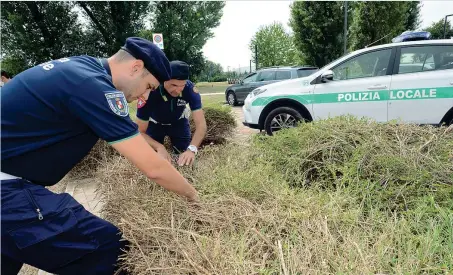  ?? (Cavicchi/Ansa) ?? Il ritrovamen­to Il luogo dove gli operai hanno ritrovato due fucili da caccia rubati due anni fa, in un comune della Bergamasca