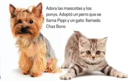  ??  ?? s mascotas y los doptó un perro que se ppi y un gato llamado no