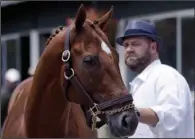  ?? AP/MATT SLOCUM ?? Trainer Doug O’Neill announced Friday that Kentucky Derby and Preakness winner I’ll Have Another will not run in today’s Belmont Stakes because of tendonitis.