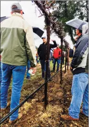  ??  ?? Kyle Brown, center, vineyard manager for LangeTwins, explains the operations of two new pruning machines recently purchased by the winery to members of the Lodi Winegrape Commission on a rainy Monday morning in Acampo.