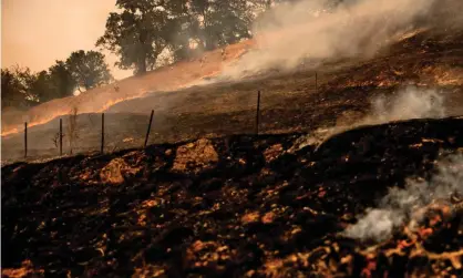  ??  ?? Firefighte­rs watch as fire creeps across a field towards a fire line they scraped into the earth with hand tools as the Glass fire continues to burn in Napa Valley, California. Photograph: Samuel Corum/AFP/Getty Images