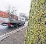  ?? FOTO: DPA ?? Das Moos könnte helfen, den Anteil des Feinstaubs in der Luft zu verringern.