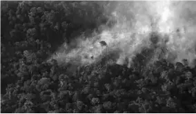  ??  ?? An aerial view of a tract of Amazon jungle burning as it is cleared by farmers in Itaituba, Para, Brazil september 26, 2019. (Foto: Reuters)
