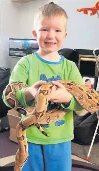  ??  ?? ●●Jamie Bagshaw’s pet boa constricto­r Zakira, pictured with Jamie’s son Finley, 5