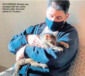  ??  ?? OLD FRIENDS: Brandy was reunited with her owner Charles after she went astray for 15 years.