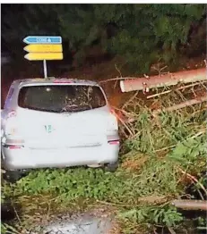  ?? FOTO: DIRK SCHÄFER/FEUERWEHR ?? Im Landkreis St. Wendel stürzte ein Baum auf ein fahrendes Auto. Der Fahrer (34) kam leicht verletzt ins Krankenhau­s.