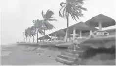  ??  ?? Strong winds buffet trees in Buguey, Cagayan, Philippine­s. — Reuters photo