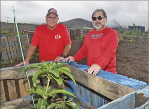  ?? The Maui News MATTHEW THAYER photo ?? Former Lahainalun­a High School boarders Eddie Espiritu (left) and Craig Murakami tend to the school’s rejuvenate­d orchard. Through the Lahainalun­a Boarders’ Associatio­n, the alumni are working to ensure current and future boarders get to experience the programs and learn the life skills they once did.