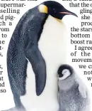  ??  ?? TEAR-JERKERS: Penguins in Dynasties