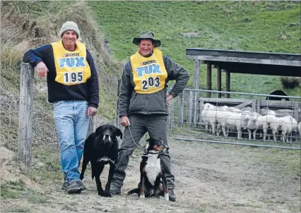  ?? Photo: MYTCHALL BRANSGROVE/FAIRFAX NZ ?? Kitted up to compete: New Zealand and South Island Sheep Dog Trial Championsh­ips competitor­s Steve Kerr, with Bully, and Matt Simpson, with Bell, get ready before the competitio­n.