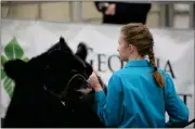  ?? Contribute­d photo ?? Riley Holbert won awards at the AgGeorgia Farm Credit Junior Heifer Show and the Carroll County Winter Classic.