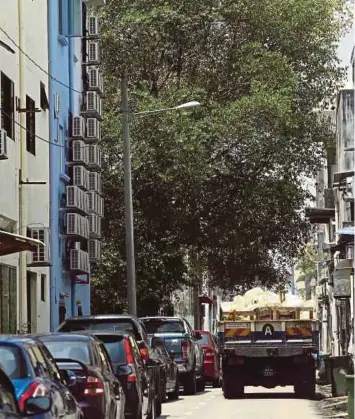  ?? PIC BY MUHAMMAD ASYRAF SAWAL ?? The overgrown tree in Lorong Jalan Besar, Kuantan, touches the back of a shoplot and could be used by burglars to get into it.