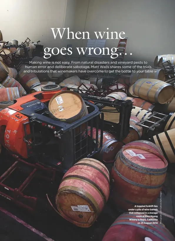  ??  ?? A toppled forklift lies under a pile of wine barrels that collapsed in a storage room at Kieu Hoang Winery in Napa, California on 25 August 2014