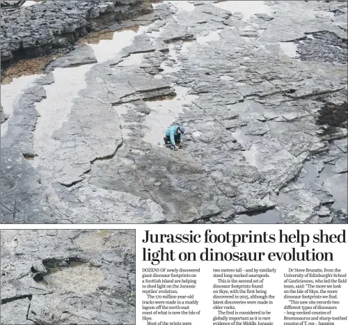  ??  ?? Scientist Paige dePolo at Brothers Point on the Isle of Skye, where dozens of newly discovered giant dinosaur footprints, like the one above, are helping to shed light on the Jurassic reptiles’ evolution.