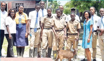  ??  ?? A few members of the Agricultur­al Department at Marcus Garvey High School.