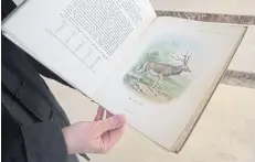  ??  ?? Dominic Bauquis holds a book with one of the first paintings depicting the milu deer, known in the West as the Pere David deer. His partner Maria Boyd wrote an account before she died last year documentin­g the reintroduc­tion of the Milu to China.
