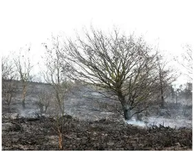  ??  ?? ■ Left: Plumes of smoke can be seen over the rooftops in Chester-lestreet as fire rages at Waldridge Fell. Above: the aftermath of the blaze.