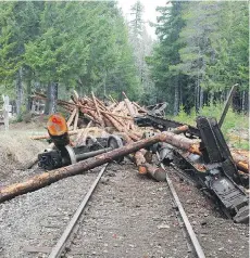  ?? RCMP ?? A faulty coupler, the mechanism that connects rail cars, caused 11 cars loaded with logs to detach from the spotting line and roll toward a maintenanc­e crew, killing three men, in Woss last year, WorkSafeBC says.