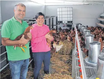  ?? FOTO: WOLFGANG HEYER ?? Hubert und Sabrina Schwegler gewöhnen die neuen Hühner langsam an ihr neues Zuhause.