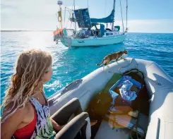  ??  ?? Liz Clark and her companion, Amelia the Tropicat, head back to Swell, a Cal 40 built in 1966.