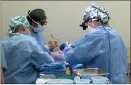  ?? UAB VIA AP ?? Surgeons prepare to transplant kidneys from a geneticall­y modified pig into the body of a deceased recipient in September.