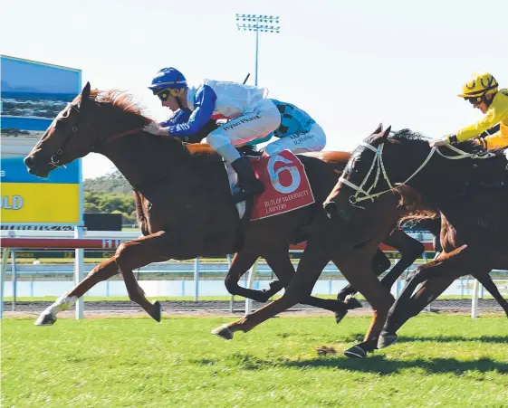  ?? Picture: AAP IMAGE/TRACKSIDE PHOTOGRAPH­Y ?? Jockey Ryan Plumb rides Gold Coast mare Sofie's Gold Class to win at the Sunshine Coast.