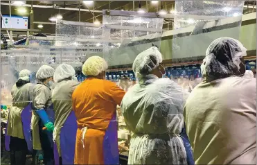  ?? TYSON FOODS VIA ASSOCIATED PRESS ?? Workers wear protective masks and stand between plastic dividers at Tyson’s Camilla, Georgia, poultry processing plant. Plants are currently understaff­ed due to a lack of available workers.