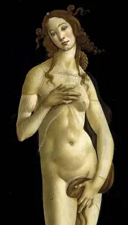  ??  ?? Pitture Botticelli, Venere pudica (dettaglio); affresco da Pompei