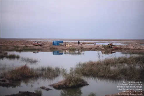  ??  ?? Les marécages près d’al-Amara, non loin de la frontière iranienne, refuge des flamants qui migrent d’Europe du Nord et haut lieu de braconnage.