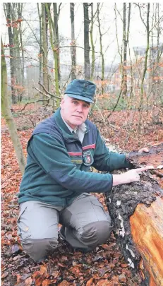  ?? RP-FOTO: NICOLE PETERS (ARCHIV) ?? Förster Claus Gingter zeigt die Schäden an den Bäumen im Beeckerwal­d.
