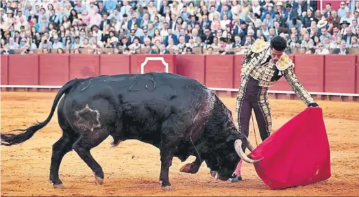  ?? ?? Alejandro Talavante sale de la Feria sin triunfo, pero aquí muestra su clase en este pase natural a ‘Palangrero’.