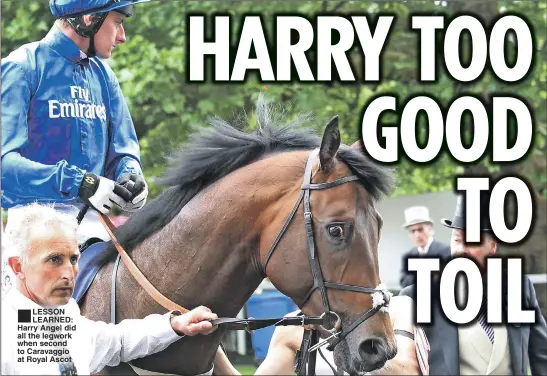  ??  ?? LESSON LEARNED: Harry Angel did all the legwork when second to Caravaggio at Royal Ascot