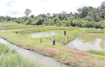  ??  ?? La producción piscícola de la Comunidad Aché de Puerto Barra, Alto Paraná, que además de granos (soja, maíz, trigo, desarrolla horticultu­ra, lechería, porcinocul­tura, apicultura y otros.