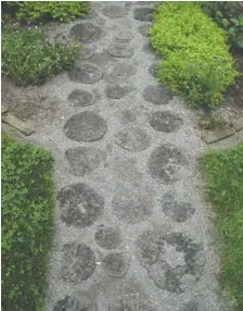  ?? PHOTO BY LEE REICH VIA AP ?? This garden path in South Salem, N.Y., crafted from locust wood and gravel, is not only attractive but also provides firm footing even in wet weather.