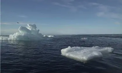  ?? Photograph: Natalie Thomas/Reuters ?? Arctic sea ice shrank to its second lowest summer extent in the 42-year satellite record in 2020.