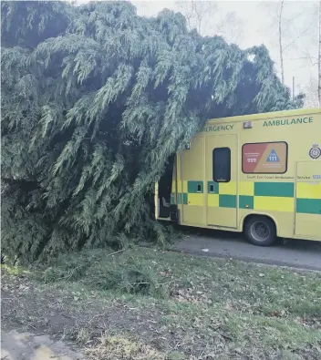  ?? ?? A tree fell onto an ambulance in Crawley Down on Saturday. Picture: PC Glen McArthur/Sussex Police.