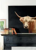  ??  ?? The Highland cow photograph is by Australian photograph­er Tony Sheffield.