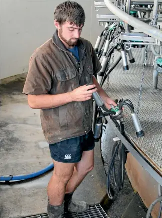  ??  ?? Kurt Vickery checking out clusters on the milking plant.