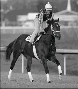  ?? BARBARA D. LIVINGSTON ?? Bravazo, shown training last week, won the Risen Star under Miguel Mena but will have Gary Stevens aboard Saturday.