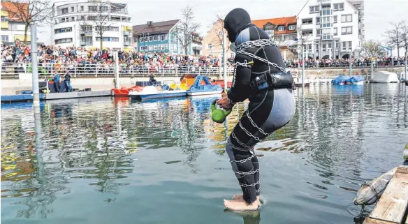  ?? FOTO: DPA ?? Entfesselu­ngskünstle­r Mario Richter springt von einem Steg im Gondelhafe­n in den Bodensee, nachdem er mit Ketten gefesselt wurde. Mit der Aktion will der Zauberküns­tler Spenden für eine Kinderkreb­shilfe sammeln.