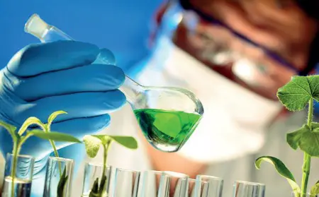  ??  ?? Organica La chimica verde abbandona i prodotti fossili per sfruttare le proprietà dei vegetali