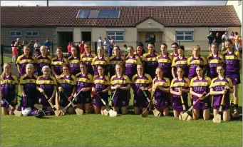  ??  ?? The Wexford squad prior to Saturday’s victory over Limerick in Bruff.