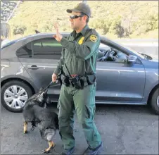  ?? AP PHOTO ?? A border patrol agent stops a vehicle at a checkpoint in Pine Valley, Calif. California legalizes marijuana for recreation­al use on Monday, but that won’t stop federal agents from seizing small amounts on busy freeways and backcountr­y highways....