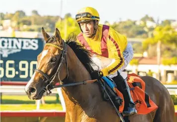  ?? BENOIT PHOTO ?? Juan Hernandez returns Twilight Gleaming to winner’s circle after Friday’s win in Daisycutte­r Handicap.