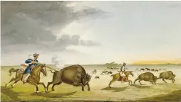  ?? ?? Above: Métis hunting buffalo in the Summer
1822, by the nineteenth­century artist Peter Rindisbach­er.