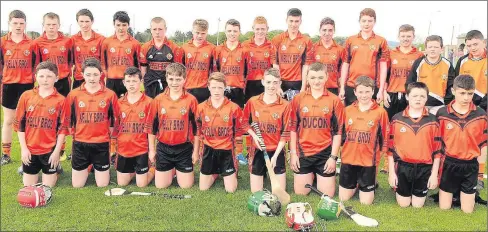 ??  ?? The Duhallow panel that will contest the County Premier Under-14 Hurling Championsh­ip Final.
Photo by John Tarrant