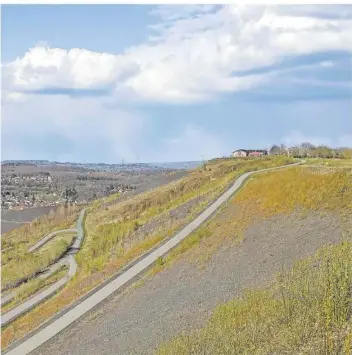  ?? FOTO: THOMAS REINHARDT ?? Asphaltier­te Wege führen auf das Gipfelplat­eau der Halde und zur Bergmanns Alm.